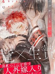 六漫画图谱刊封面，六角图谱分类卡排列成架